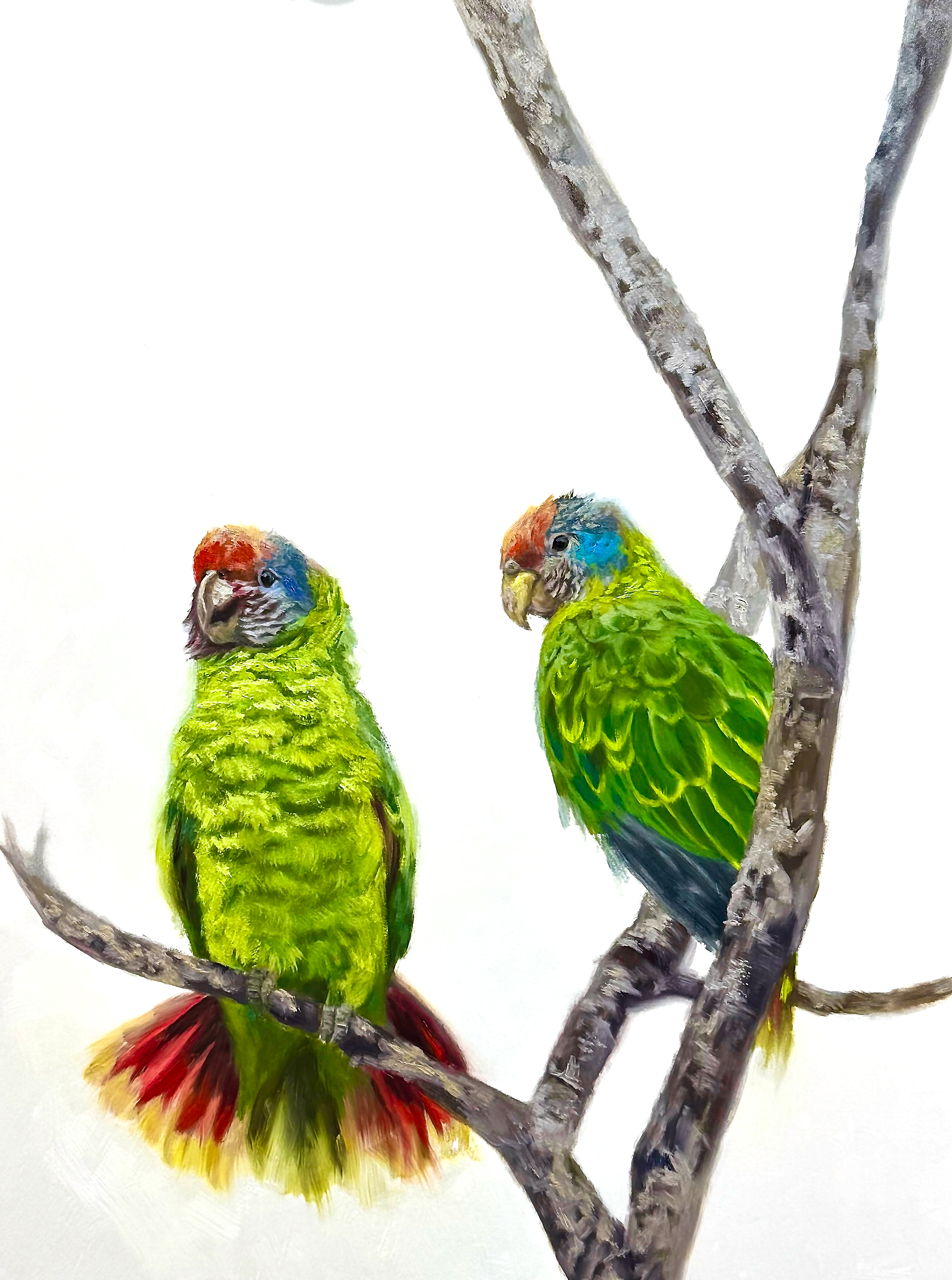 Two Voices, One Forest